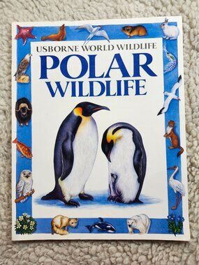 Usborne Polar Wildlife Book Kamini Khanduri Illustrated Childrens Paperback